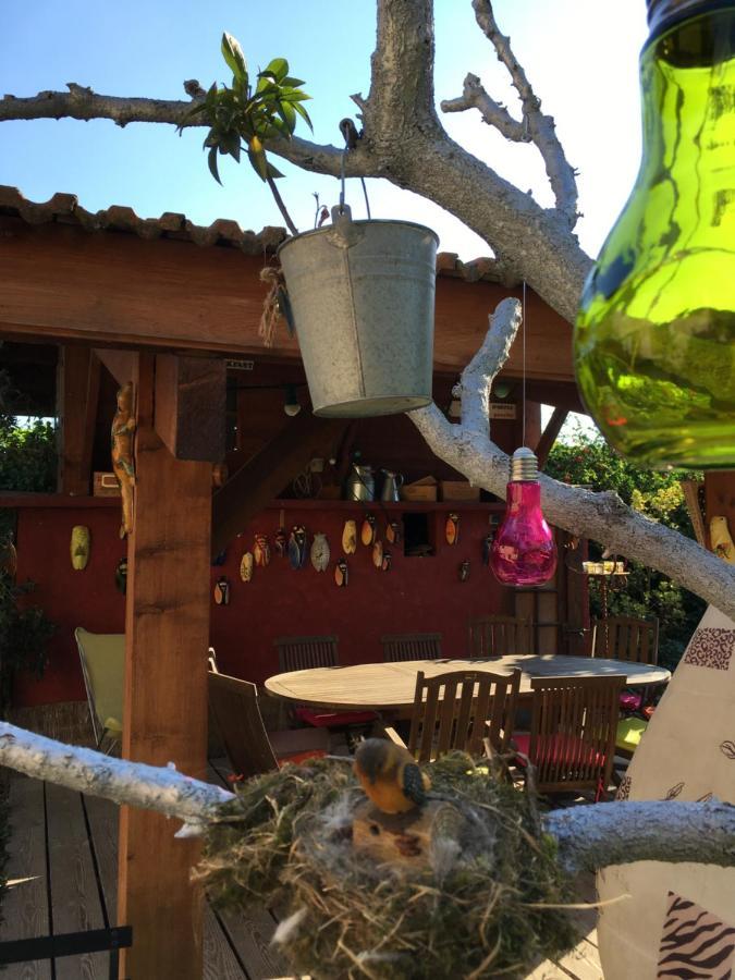 Les Pascals Bed & Breakfast Saint-Paul-les-Romans Bagian luar foto