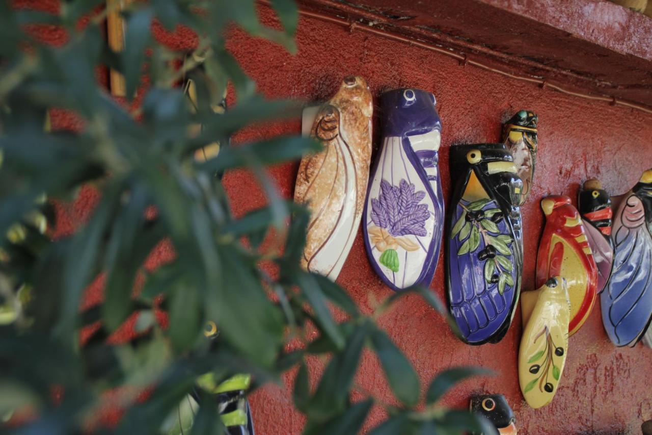Les Pascals Bed & Breakfast Saint-Paul-les-Romans Bagian luar foto