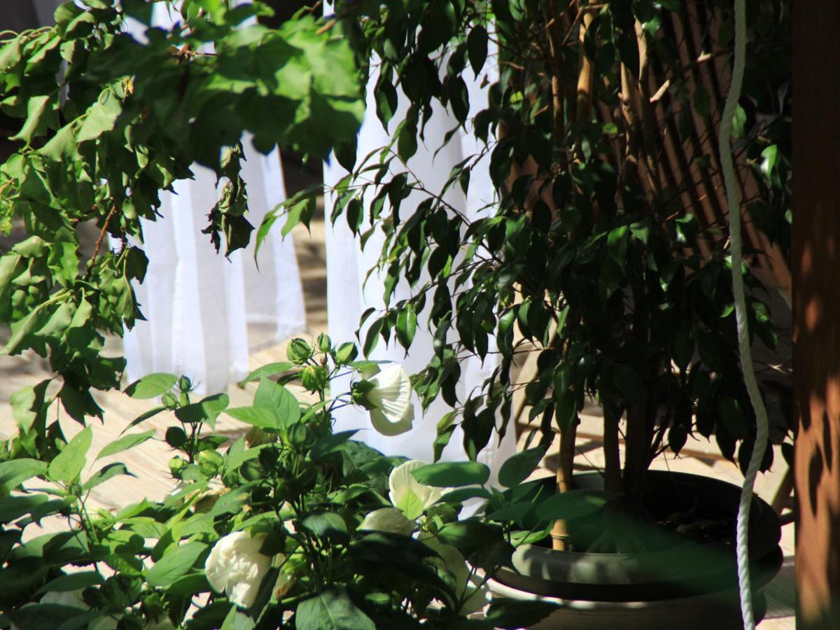 Les Pascals Bed & Breakfast Saint-Paul-les-Romans Bagian luar foto
