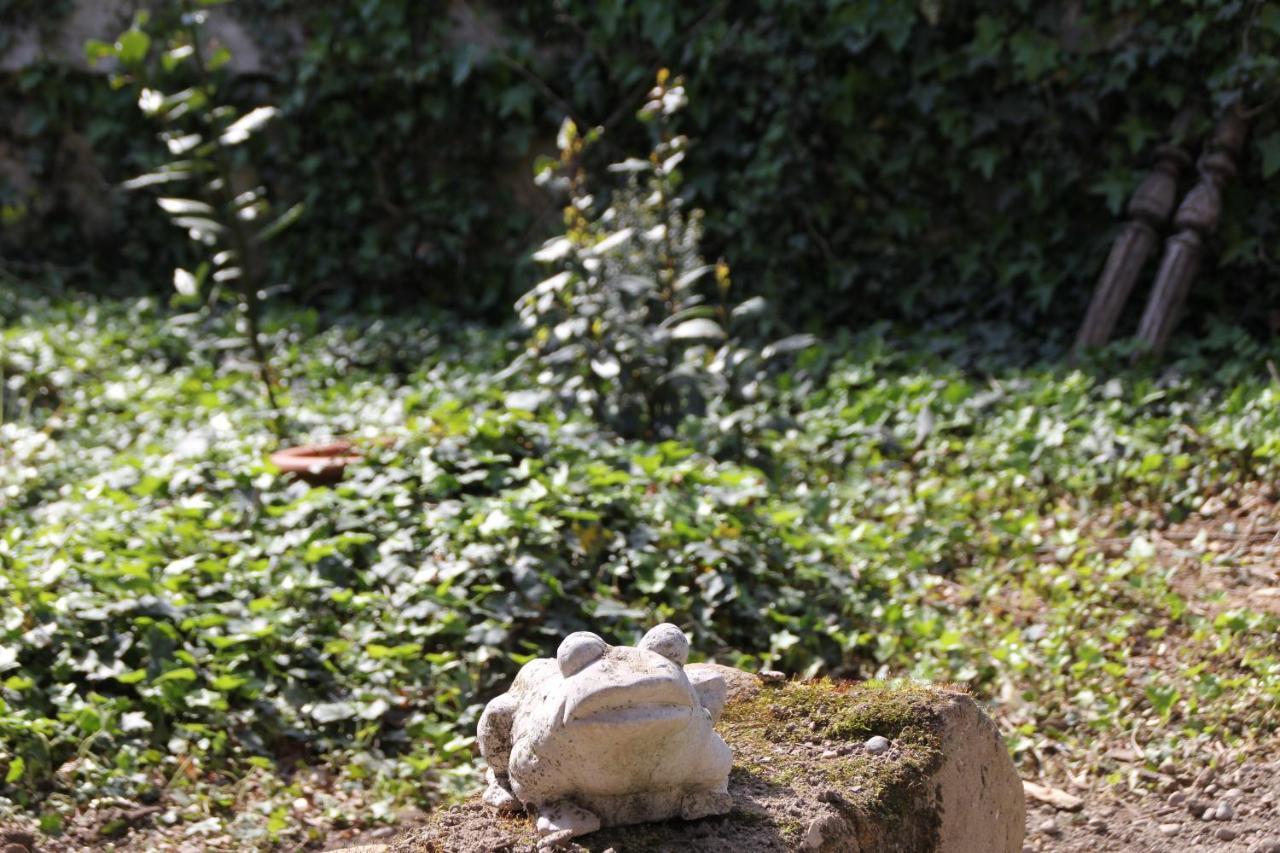 Les Pascals Bed & Breakfast Saint-Paul-les-Romans Bagian luar foto