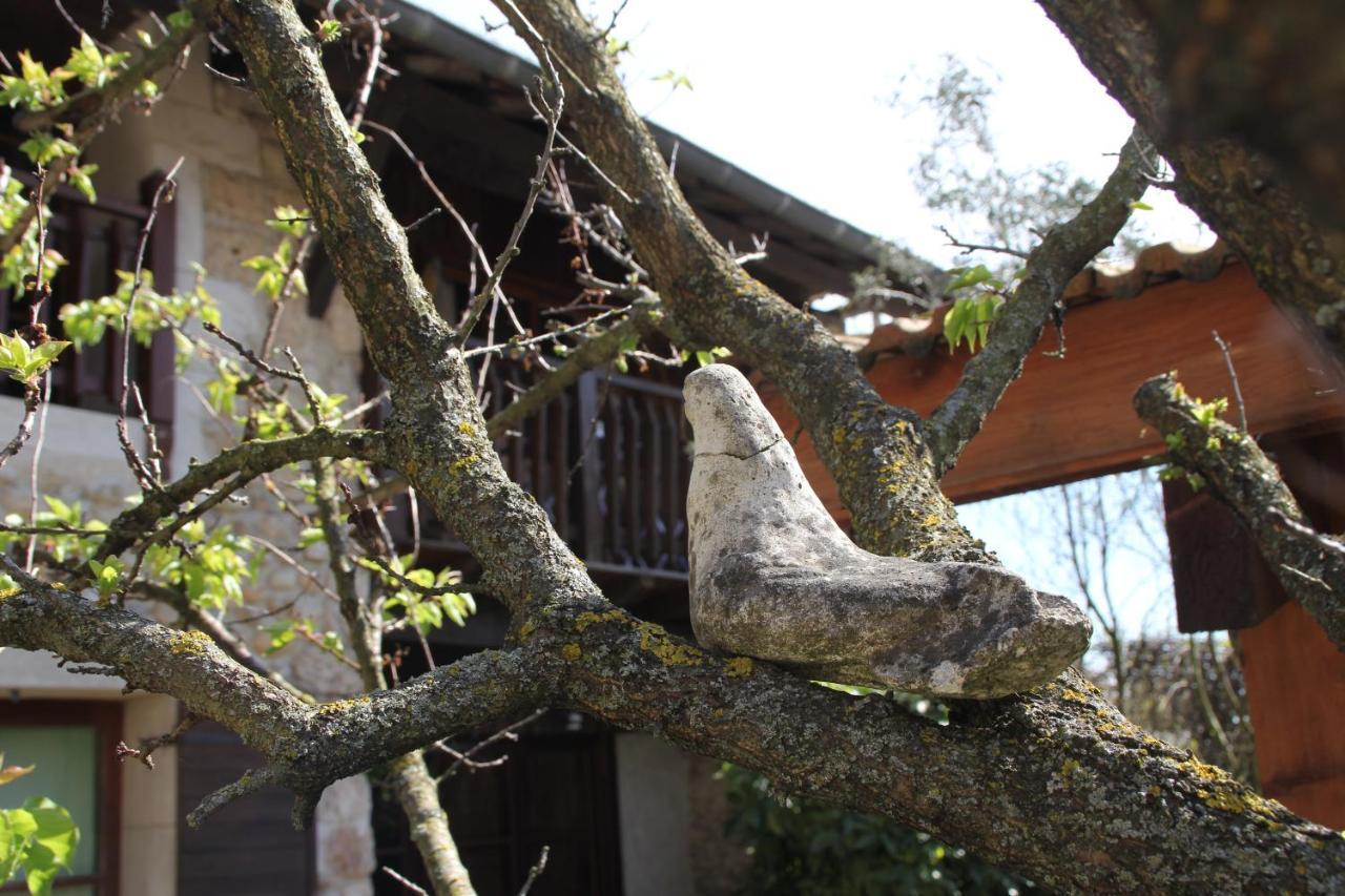Les Pascals Bed & Breakfast Saint-Paul-les-Romans Bagian luar foto