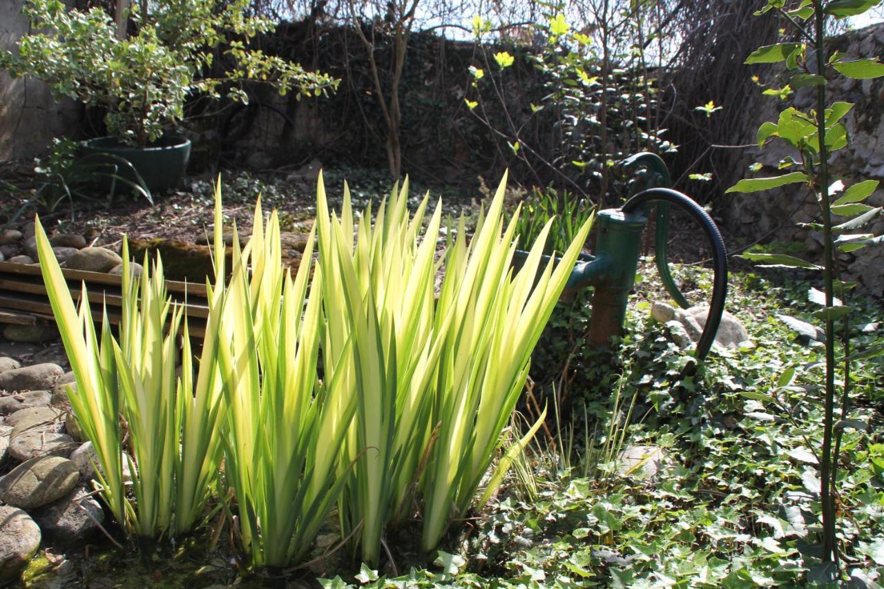 Les Pascals Bed & Breakfast Saint-Paul-les-Romans Bagian luar foto